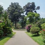 Botanická záhrada Peradeniya
