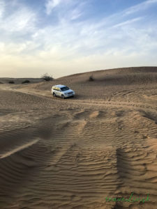 Dubai Desert