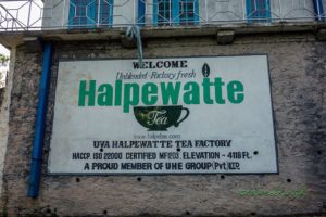 Továreň na čaj Uva Halpewatte