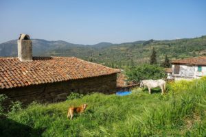 Sirince